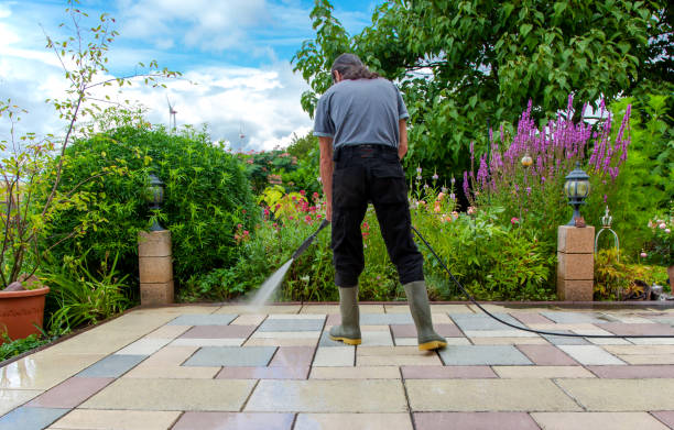 Best Driveway Cleaning and Restoration in Hilltop, MN