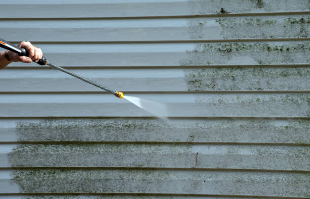 Best Gutter Cleaning and Brightening in Hilltop, MN